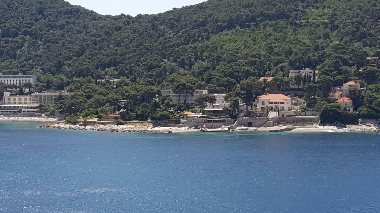 Studio Apartment Ivona Dubrovnik Bagian luar foto