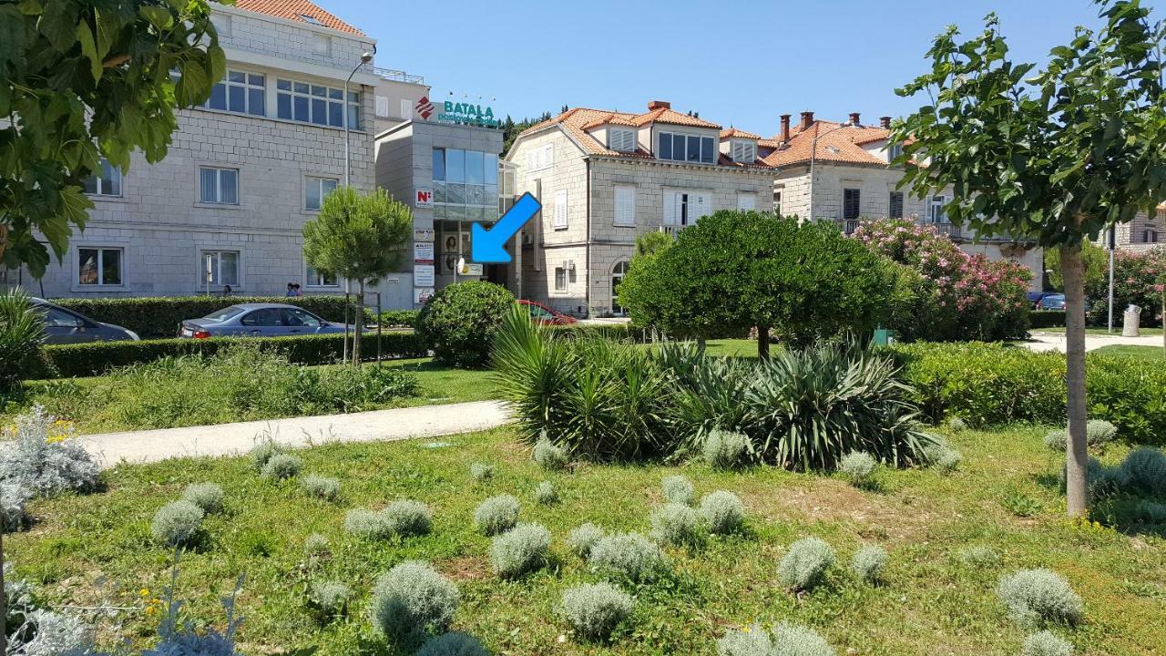 Studio Apartment Ivona Dubrovnik Bagian luar foto